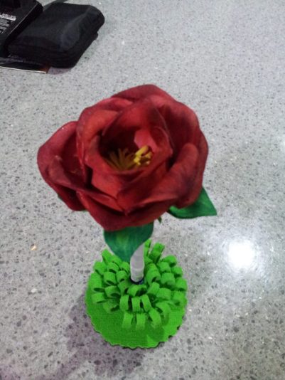 IMG-20220718-WA0145_-_Copia[1]